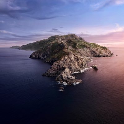 Mustafaipad8's profile picture. 