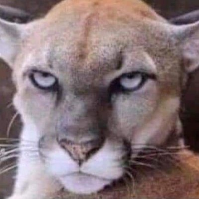 Lynnndigo's profile picture. Mama. Catalyst. Voluntaryist.