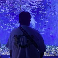 猪突猛进 🐻🐒🉑️ (@peterfxxk) 's Twitter Profile