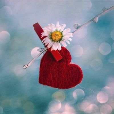 smalyl8881's profile picture. اللهم قل لأمنياتي كوني