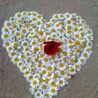 Balım (@blmm65492767) 's Twitter Profile