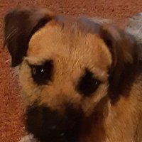 Penny Black (@kirkbymiss) 's Twitter Profile