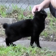 unception's profile picture. ⓘ This user is normal.

We all deserve to lose our online privacy. None of us can be trusted with it.