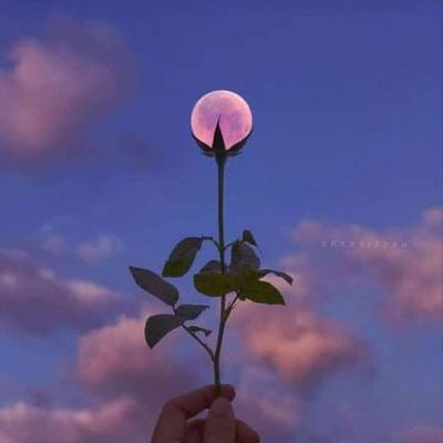 hafsa_sadiqui's profile picture. وَرَبُّكَ الْأَقْرَبُ وَالْأَحَن💫💙