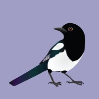 Shiny Mr Magpie (@shinymrmagpie) 's Twitter Profile