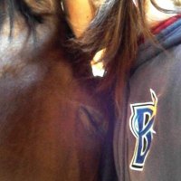 跳ね馬ライダー@雅維🏇(@kashiniki) 's Twitter Profile Photo