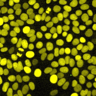 cellvoyant's profile picture. We see the future in cells