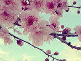 FollowMe!FollowMe!FollowMe!FollowMe!FollowMe!FollowMe!FollowMe!FollowMe!FollowMe!FollowMe!FollowMe!FollowMe!FollowMe!FollowMe!FollowMe!FollowMe!FollowMe