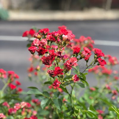 FuneditsX's profile picture. 