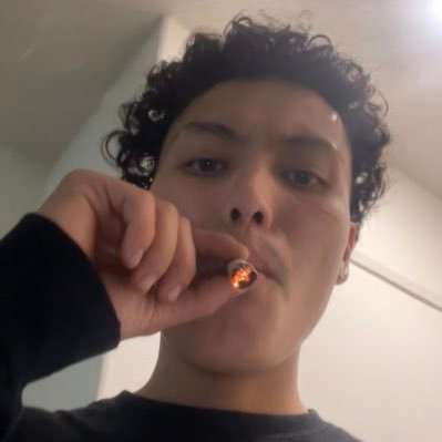 333luisss's profile picture. ll fan page