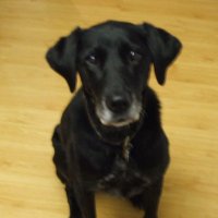 Elena Gregor (@elenicka39) 's Twitter Profile