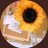 swen_0915