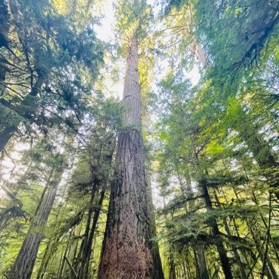 martinymy's profile picture. 