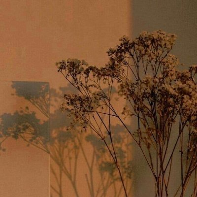 _Mariasabu's profile picture. 