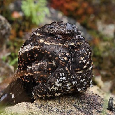 _Hyemin_'s profile picture. 