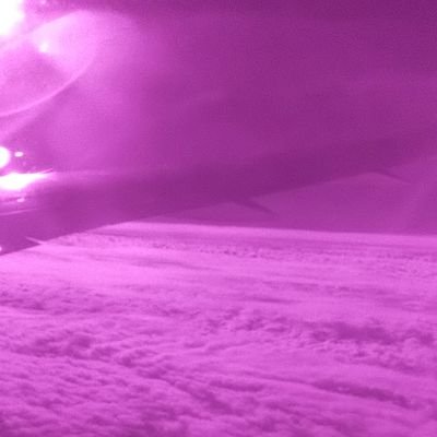 tn93717's profile picture. 出張中だけど