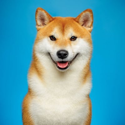 qazplmxsenko101's profile picture. 