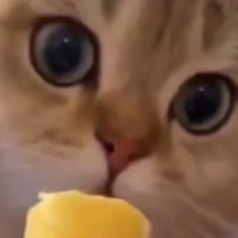 Alan90741690's profile picture. 