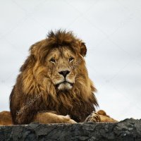 андрей миними (@andrejminimi) 's Twitter Profile