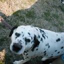 sandra merchant - @xXxDark_RosexXx - Twitter