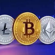 seikohodler's profile picture. #SOLANA #NEAR