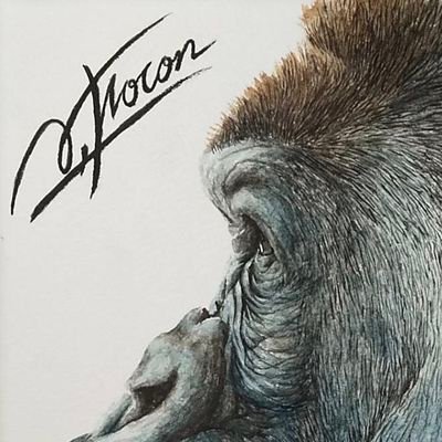 a.flocon/アトリエヤマダ on X: 