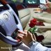 Arfat Aram (@arfataram) Twitter profile photo Arfat Aram (@arfataram) Twitter profile photo