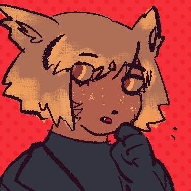 mishaさんのプロフィール画像