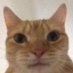 😼 bê đê khó ở (@eimikohaver) Twitter profile photo 😼 bê đê khó ở (@eimikohaver) Twitter profile photo