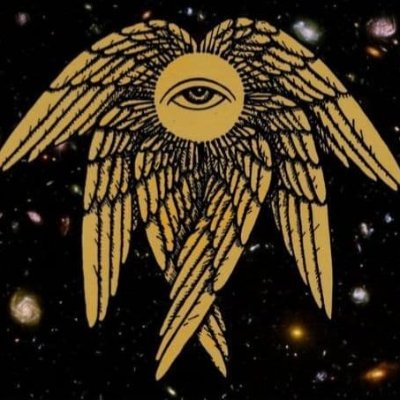 TradeVici's profile picture. I use price action + smart money concept. Also I develop algorithmic trading systems based on a combination of various indicators and machine learning.