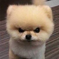 felixalexx (@felixalexxx) 's Twitter Profile