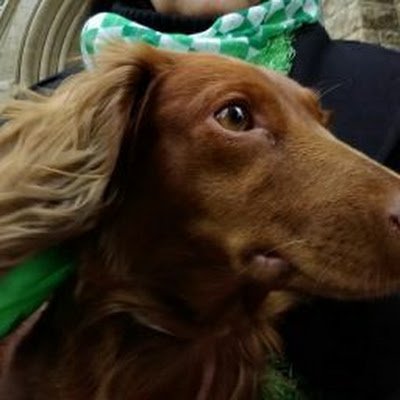 MOMMAman2's profile picture. 