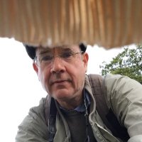 a.r.leitch@qmul .ac.uk (@leitch_ar) 's Twitter Profile