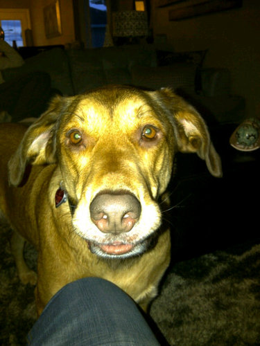 jryhorchuk's profile picture. Oiler Fan, husband, now Father, Avid Hunter loves outdoors and winter! You might not like what you hear...the TRUTH!