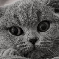 giuseppe mingione (@grmvader) 's Twitter Profile Photo giuseppe mingione (@grmvader) 's Twitter Profile Photo