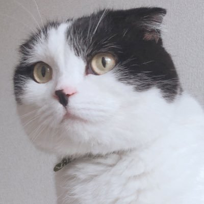 もずくさんのプロフィール画像
