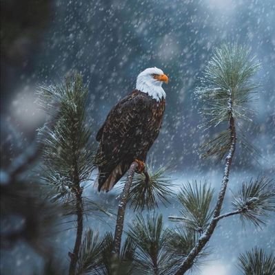 jracostag's profile picture. 