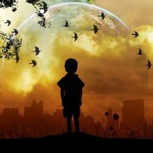 Alhel444's profile picture. software engineer