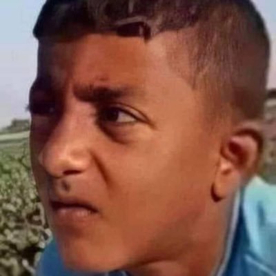 amrozaki0's profile picture. amro