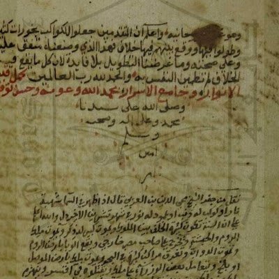 alimurtadha91's profile picture. 