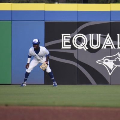 Professional Player in the Toronto Blue Jays Organization • Team Canada JNT Alumni🇨🇦 • @dasanibrownn on Instagram