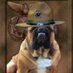 Vet Marine-To protect against ALL ENEMIES! (@vetmar4) Twitter profile photo Vet Marine-To protect against ALL ENEMIES! (@vetmar4) Twitter profile photo
