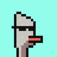 Nate 🙌 (@sola_nate) 's Twitter Profile