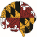 Maryland Neurology Residency (@umarylandneuro) Twitter profile photo