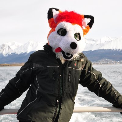 A red fox from Argentina. I make plushies and fursuits. Love traveling ✈ and Floppy Disks 💾.  
🇦🇷Español / 🇬🇧English.
SFW Only.
Telegram: @ LeoTheFoxx