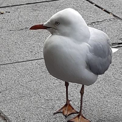 mochiさんのプロフィール画像