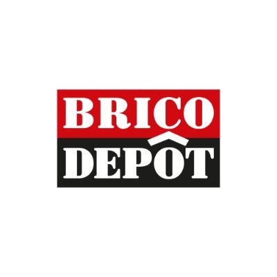 Brico Dépôt Profile