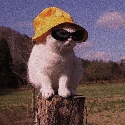 Ana67945263's profile picture. 💗