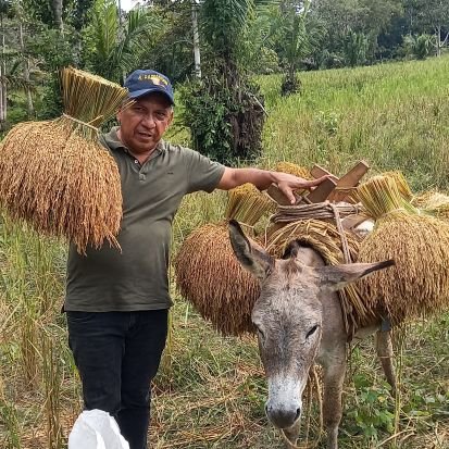 Amante del campo, fiel seguidor de la comida criolla e intentando ser twitero