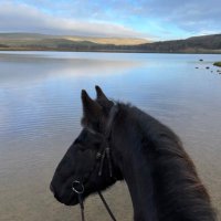 Stacey McCann (@mccannstacey) 's Twitter Profile Photo Stacey McCann (@mccannstacey) 's Twitter Profile Photo